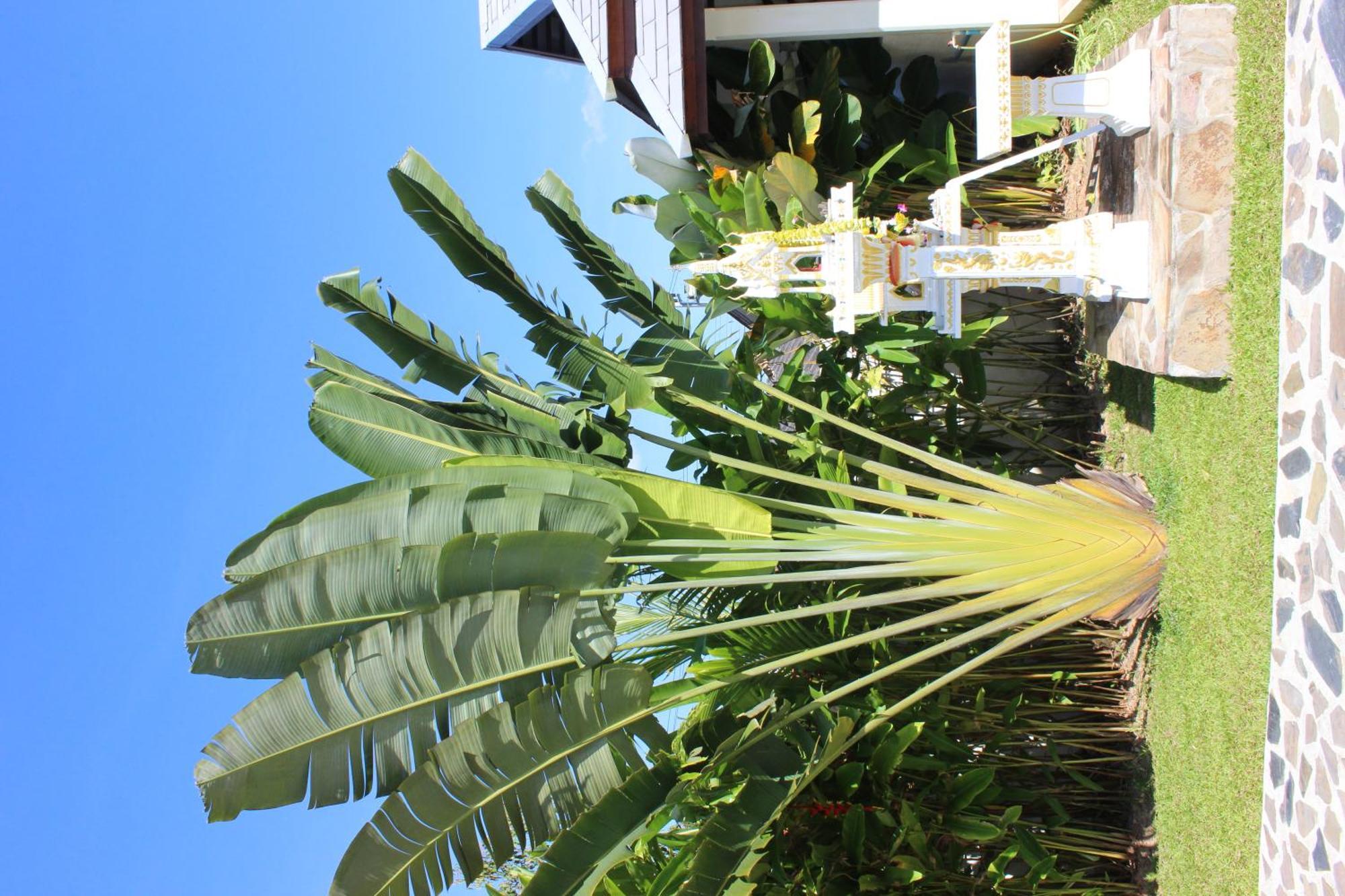 Villa Colina Khao Lak Rooms And Bungalows - Adults Only Eksteriør bilde
